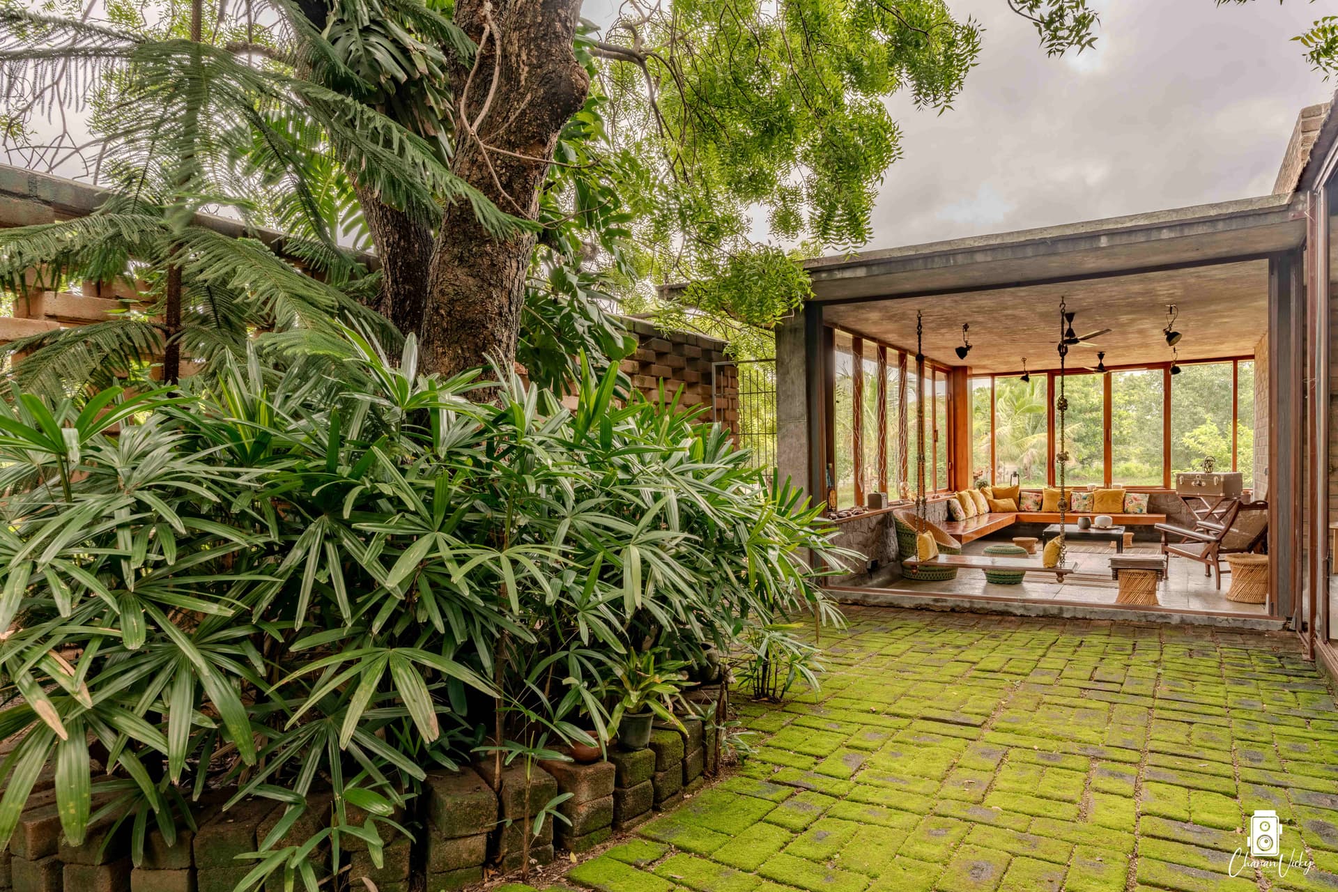 Lush courtyard garden with neem tree at Venu Farms